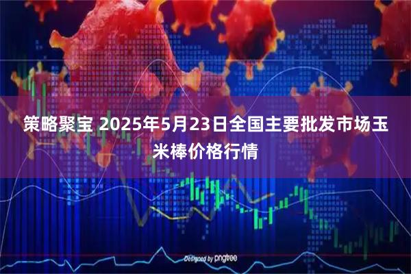 策略聚宝 2025年5月23日全国主要批发市场玉米棒价格行情