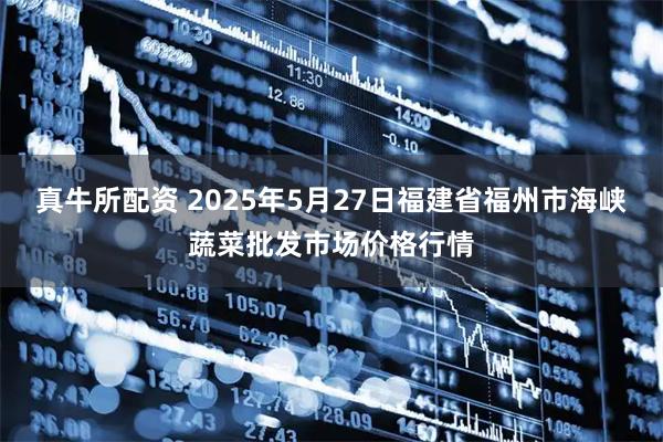 真牛所配资 2025年5月27日福建省福州市海峡蔬菜批发市场价格行情