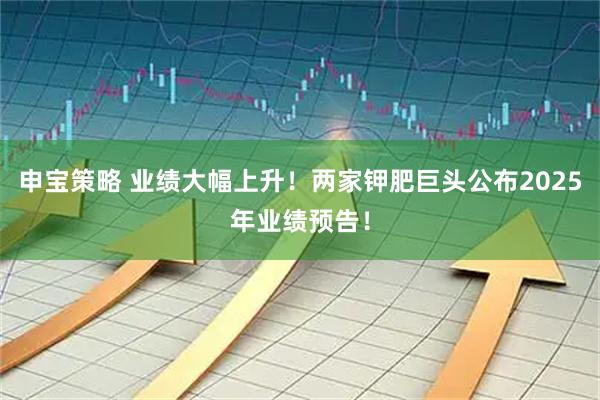 申宝策略 业绩大幅上升！两家钾肥巨头公布2025年业绩预告！
