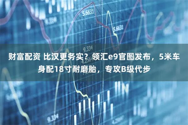 财富配资 比汉更务实？领汇e9官图发布，5米车身配18寸耐磨胎，专攻B级代步