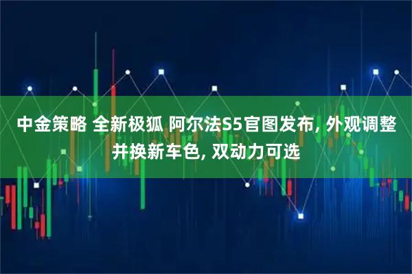 中金策略 全新极狐 阿尔法S5官图发布, 外观调整并换新车色, 双动力可选