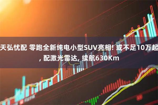 天弘忧配 零跑全新纯电小型SUV亮相! 或不足10万起, 配激光雷达, 续航630Km